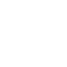clinical record
